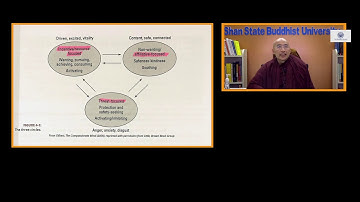 4 - Introducing Abhidhamma - Consciousness (citta): its Bases and Classifications by Ven Dhammasami