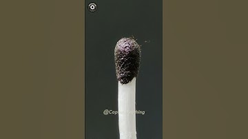 UNIQUE BURNING MATCH STICK SATISFYING ASMR VIDEO | Capture Anything | #satisfyingcontent #asmr