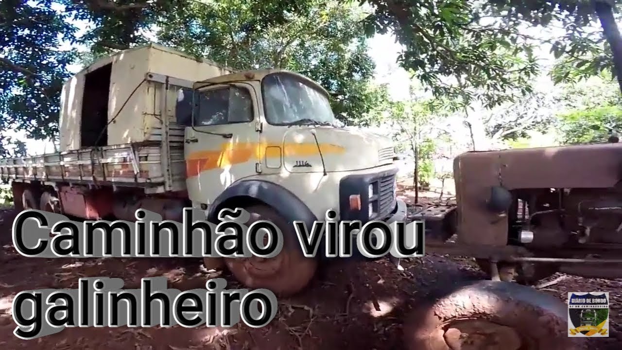 Caminhão virou galinheiro top movies on netflix