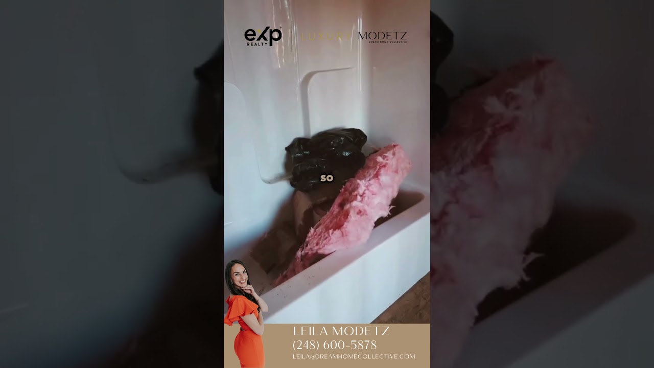 Luxurious living in this Ranch New Construction in Lake Orion! 🏡✨ 