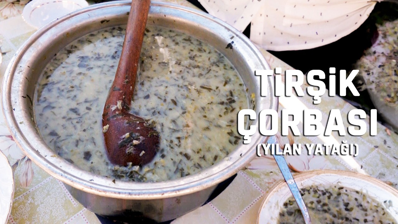 Yılan Yastığı Otunun Tirşik Çorbasına Dönüşümü #yemektarifleri #tarif