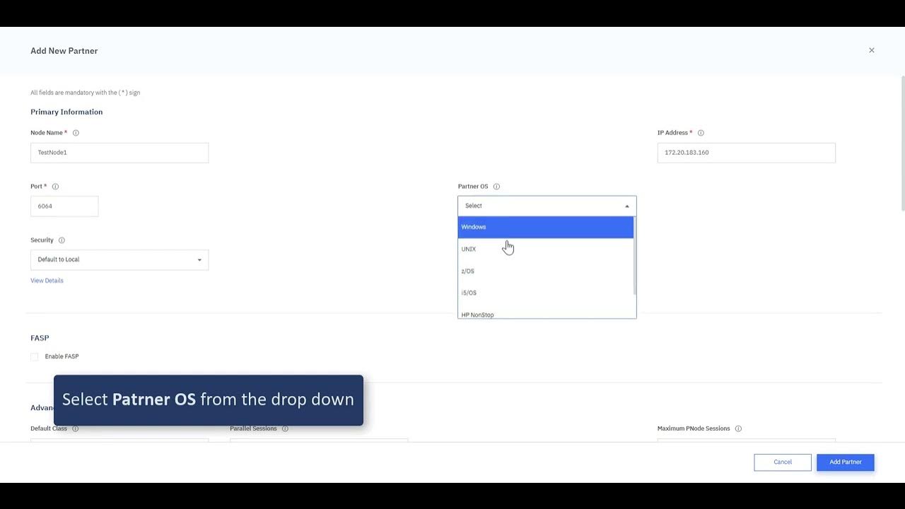 IBM Connect:Direct Web Services Adding Partner Manually From Connect