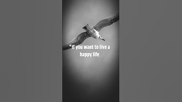 Goal-Setting for a Happy Life #shorts #motivation