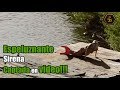 Aterradora Sirena captada en el lago Xolotlan de Nicaragua - Real o Mito ?