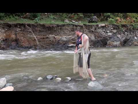 ვიდეო: როგორ თევზაობა მიედინება მდინარეში