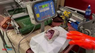 Mesa 900 Tongue and Cheeks machine, testing with fish heads 300-500g