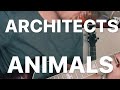 Architects - Animals Guitar Cover