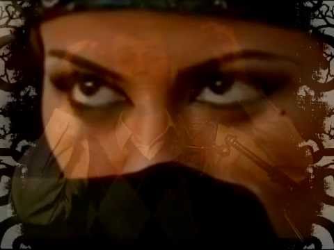 قصيدة الشاعر محمد قبازرد أدلت دلا فصحى 