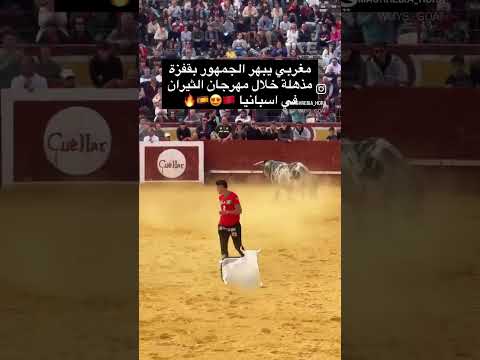        مغربي يراوض الثور بي طريقة مجنونة     