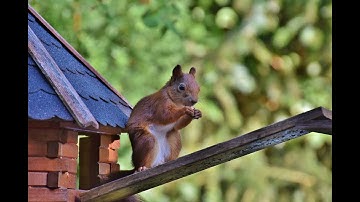 Persiapan - Membuat Aplikasi Parkir Codeigniter 3 - Part 1