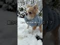 反応が可愛すぎた