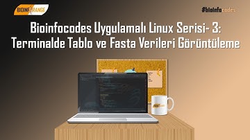 Bioinfocodes Uygulamalı Linux Serisi- 3: Terminalde Tablo ve Fasta Verileri Görüntüleme