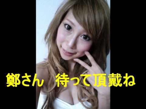 華鈴灯娘～元横浜市長中田宏鄭宏愛人奈々～
