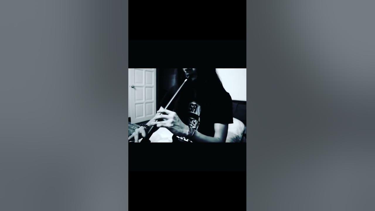 (Excerpt) | The Legend Of The Sidh - The SIDH  #Shorts #LowWhistle #TinWhistle
