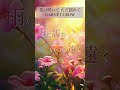 【歌詞動画】花は咲いて ただ揺れて/GARNET CROW#jpop #lyrics #song #歌詞動画 #音楽