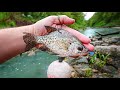 Spillway Fishing LIVE CRAPPIE Under GIANT BOBBERS!!! (Fish Rescue + I GOT HOOKED)