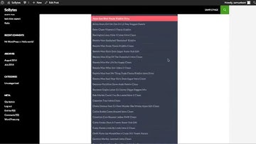 S3Bubble WordPress Theme Twenty Fourteen & Spotify