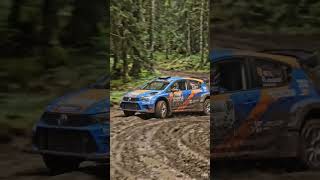 Car Racing AI