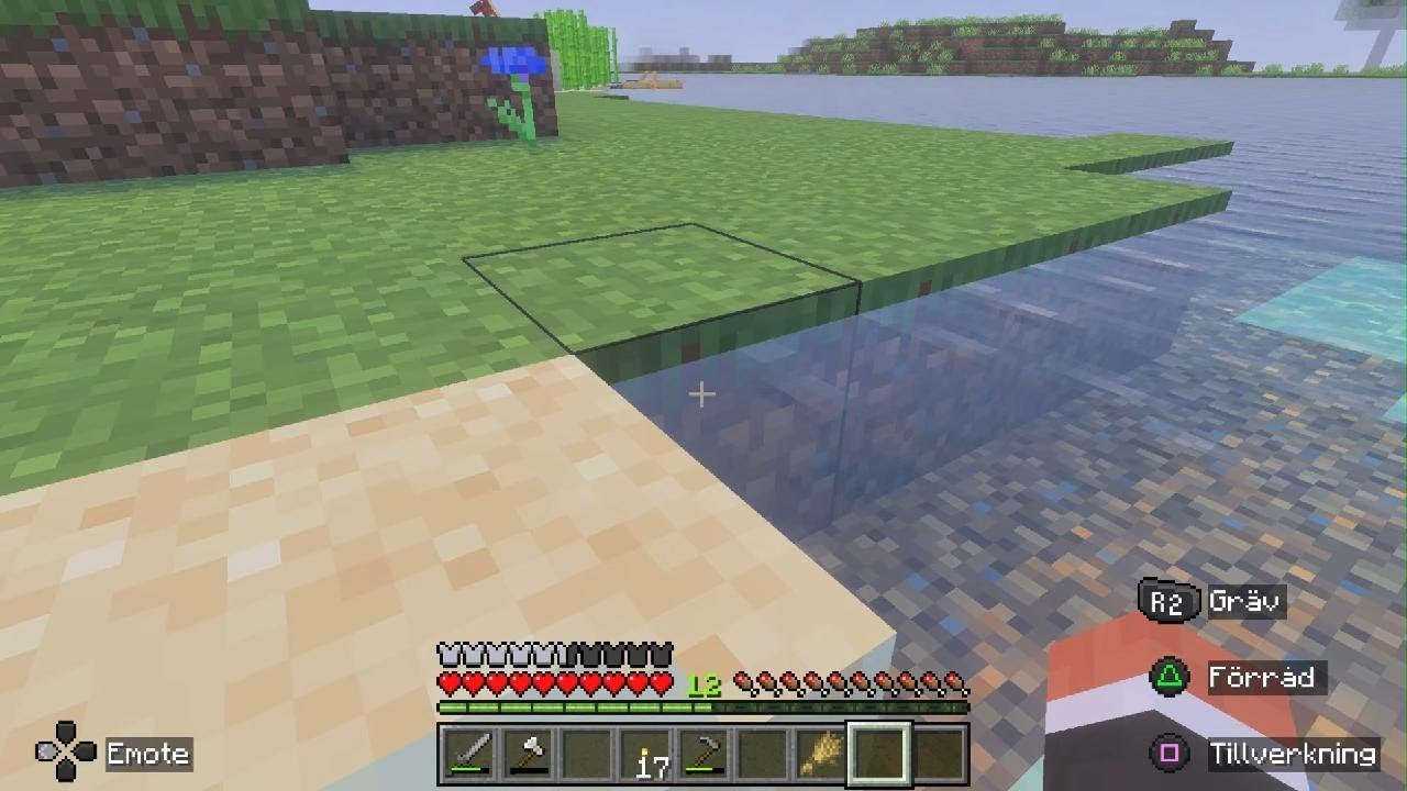 Minecraft_20260106151631