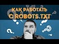 Как работать с robots.txt? Просто о сложном