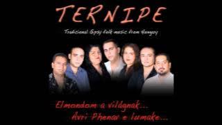 Ternipe - Numa tusa (