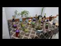 افتتاح ثلاث مدارس ومحطة للصرف صحي بمركز طنطا الأحد 2021 5 30 افتتاح ثلاث مدارس ومحطة للصرف صحي بمركز طنطا الأحد 2021 5 30