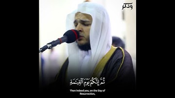 إنك ميت وإنهم ميتون - ترتيل مبكي من سورة الزمر || Mohamed Obada