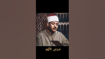 عبد الباسط عبد الصمد سوره الحاقة - #allah #quran #viral
