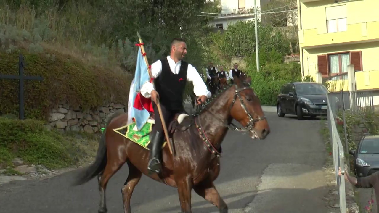 Sant'Isidoro 2019 - Cavalli