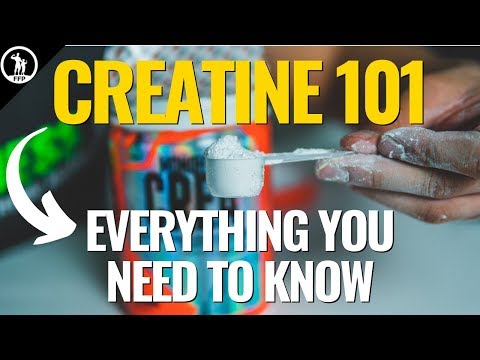 Creatine 101 — What Creatine Does To Your Body and How It Works