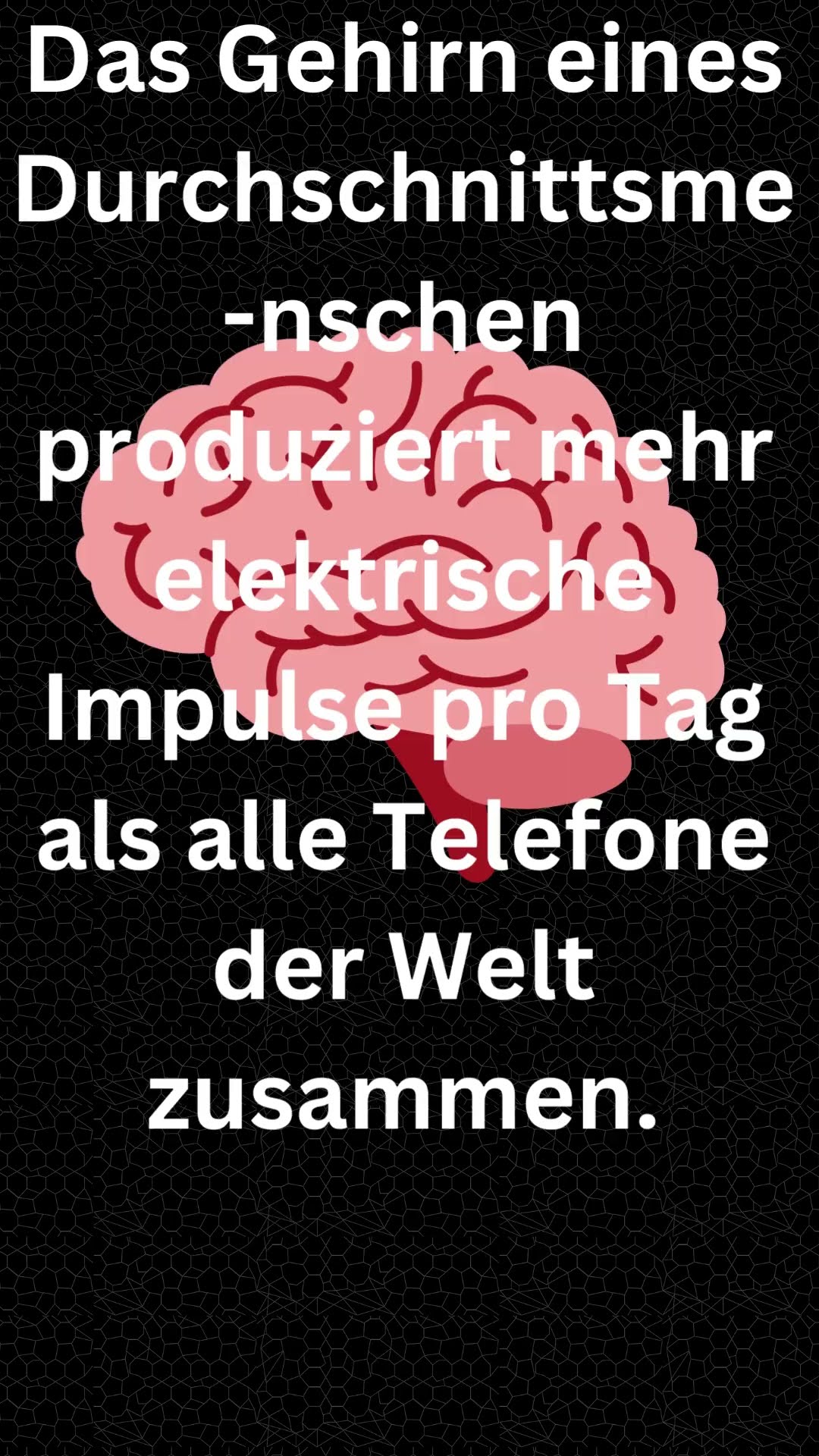 Die 100 unglaublichsten Momente, die mit der Kamera aufgenommen wurden | Das Beste des Jahres!