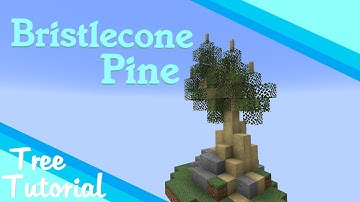 Minecraft Custom Tree Tutorials - Bristlecone Pine Tree