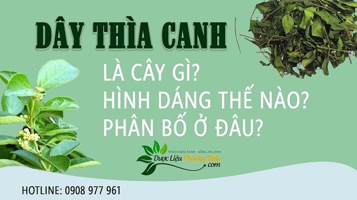 2 muỗng canh là bao nhiêu?