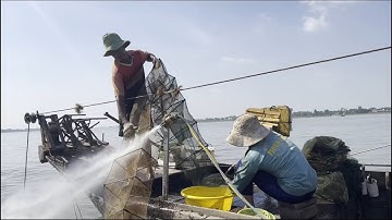 Hiệu quả hơn khi cải tiến cửa ngục đặt sông lớn / Sông Nước Cửu Long