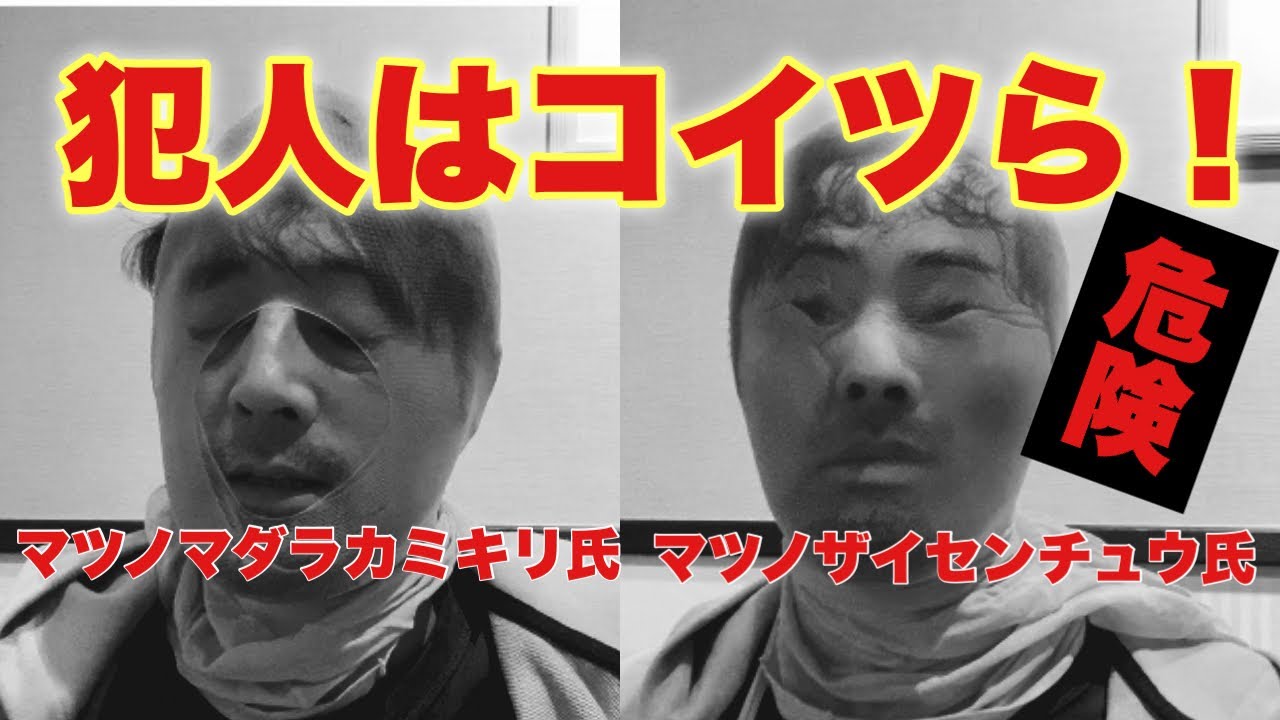 松枯れの犯人登場！【マツクイムシ】【松がれ】奴らを公の場に晒す！