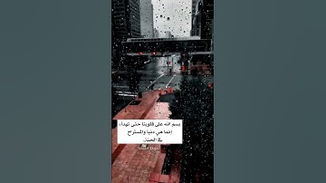 بسم الله على قلوبنا حتى تهدأ - القارئ رعد الكردي - تلاوة خاشعة ومؤثرة -أجمل حالات واتس اب