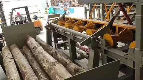 Wood log cutting and sorting line