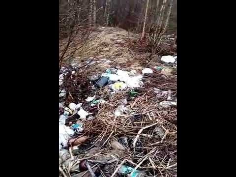 "Достопримечательности" города Окуловки