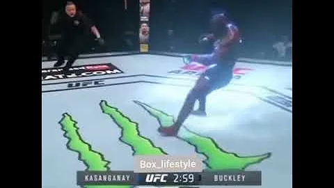 Knockout of The Century!