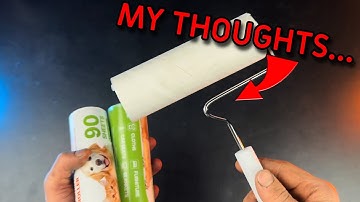 This Is The Perfect Lint Roller