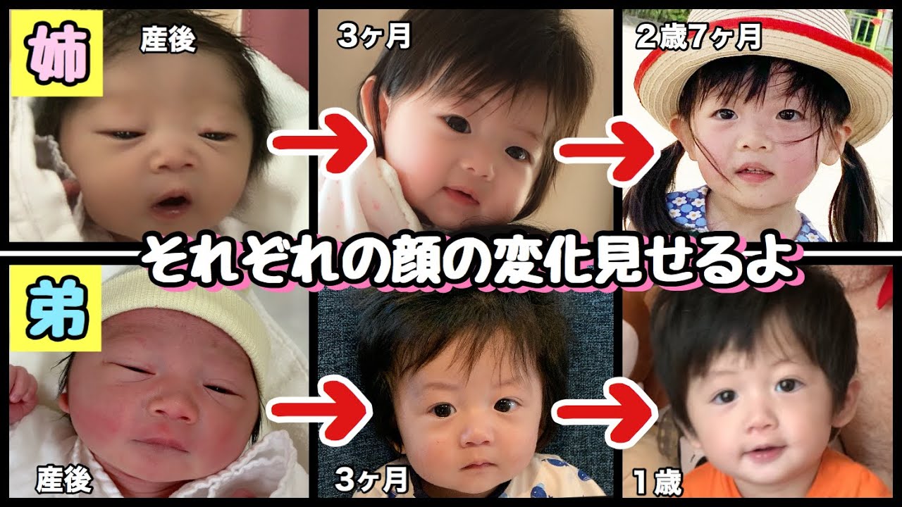 ２歳差姉弟 産まれた日から現在までの顔の変化 Change Of Face Of Baby From 0 Years Old Youtube