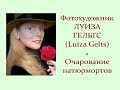 Автор ролика Виталий Тищенко. Фотохудожник Луиза Гельтс (Luiza Gelts). Очарование натюрмортов