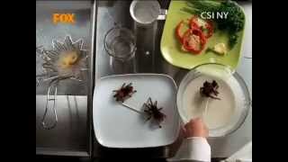 CSI NY EAT BUGS 1 HD XD