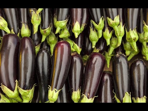 БАКЛАЖАНЫ ЗИМОЙ БОЛЬШЕ НЕ ПОКУПАЮ! Супер способ хранения баклажанов.