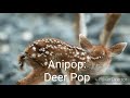 Anipop deer pop commercial