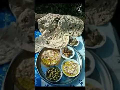 اجمل شعر يولي كوليلي وين سكانك ياهدار