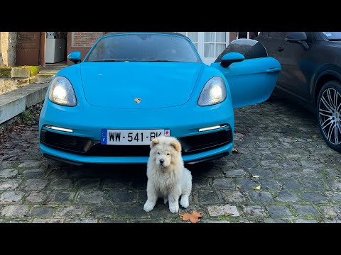 Vidéo: Don Omar Montre Les Dommages Que Son Chien A Causés à Sa Porsche De 250000 $