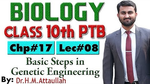 Basic steps in genetic engineering  | Chapter # 17 | Biology Class 10th | Lec.# 8