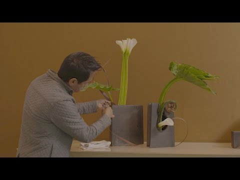 Video: Ikebana Informationen: Wachsende Pflanzen für Ikebana-Blumenarrangements