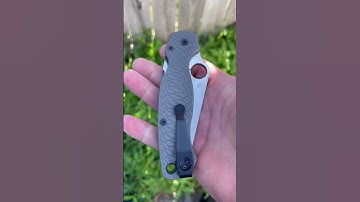 S110v Pm2 with titanium scales.